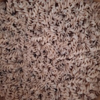pat-epe-fus-vrac_-_fusilli